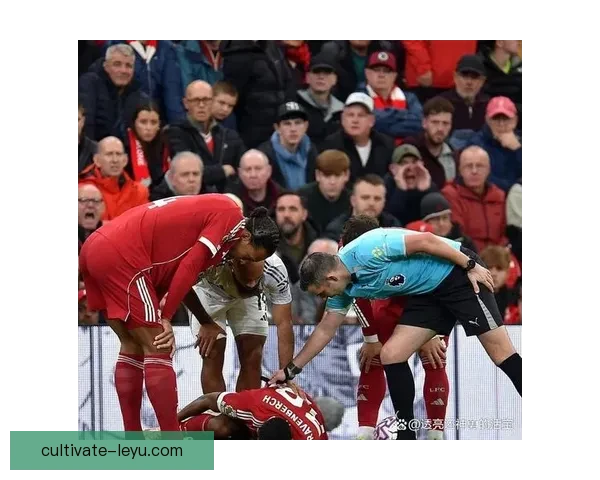 利物浦俱乐部宣布引进新援并确认队内伤员康复情况