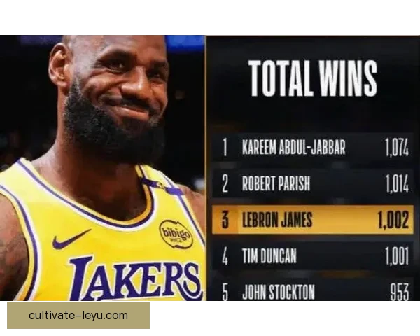 湖人关键战逆转取胜詹姆斯表现抢眼带队重返季后赛希望